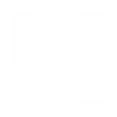 LeinesMedia